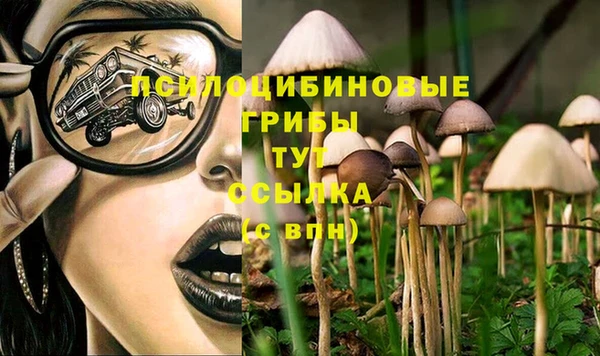 Альфа ПВП Алексеевка